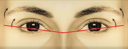 Positive Canthal Tilt